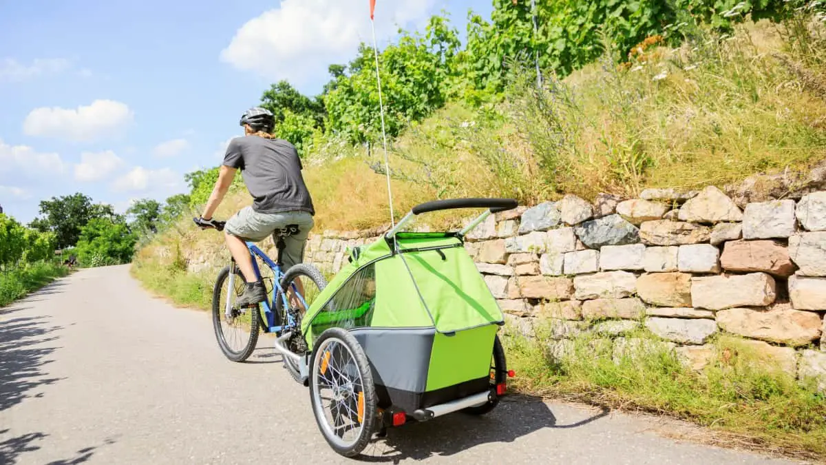 5 Ways to Carry Groceries on a Bike Pros, Cons, Best Options Cycle