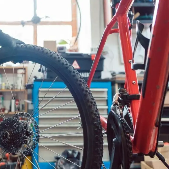 Do You Need a New Bike Tire, Tube, or Both? Cycle About Town