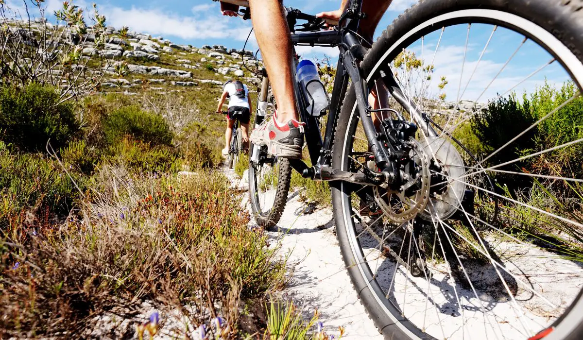 Back tire view of a mountain bike riding through sand with low brush. 