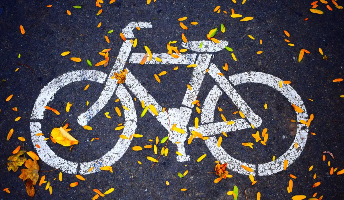 A black path with a white bike painted on, with a scattering of fall colored leaves over it. 