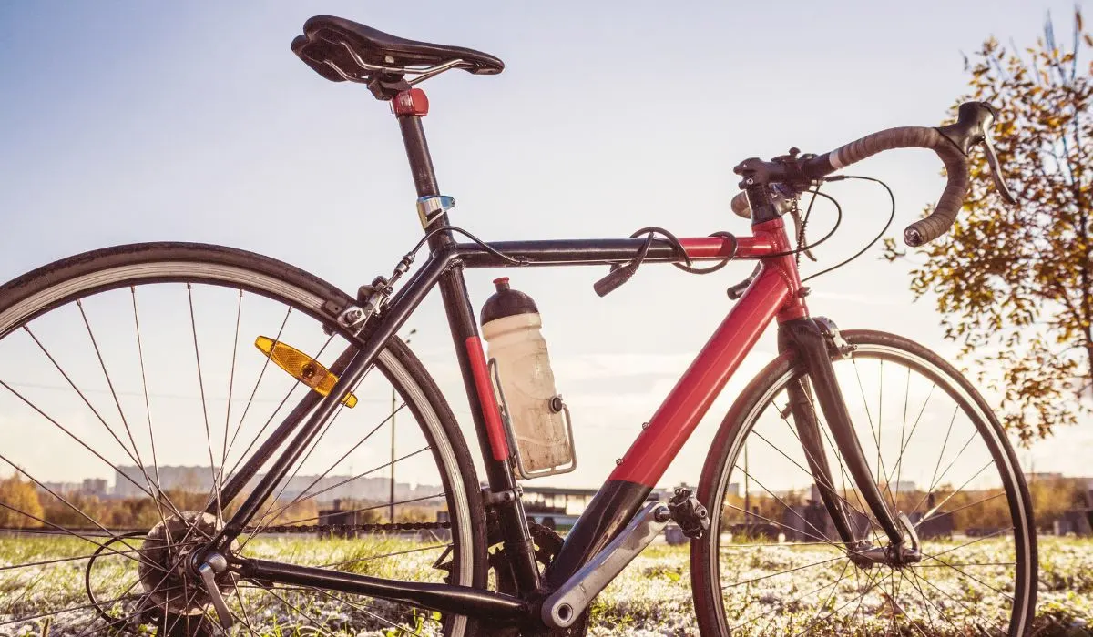 A road bike in grass with no one on it, showing the uncomfortable looking seat. 