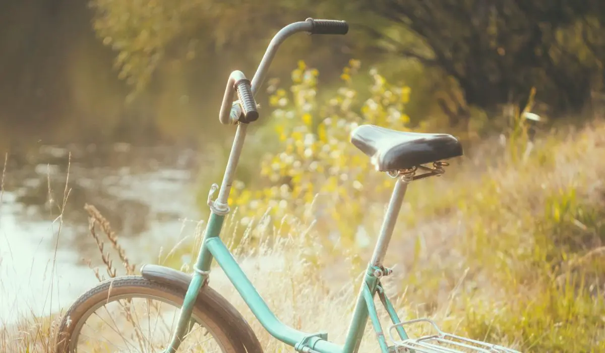 A bike with raised and easy to reach handlebars in a sunny field. 