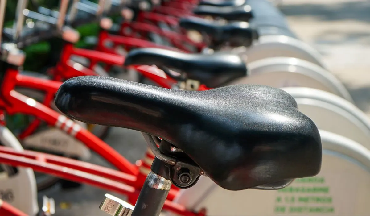 Bikes in a row, showing the medium sized black bike seats.