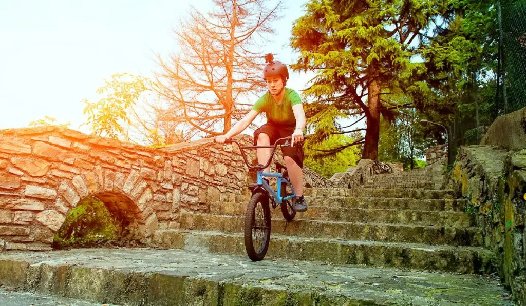 A kid riding down stone steps on a bmx bike, with woods in the background. 