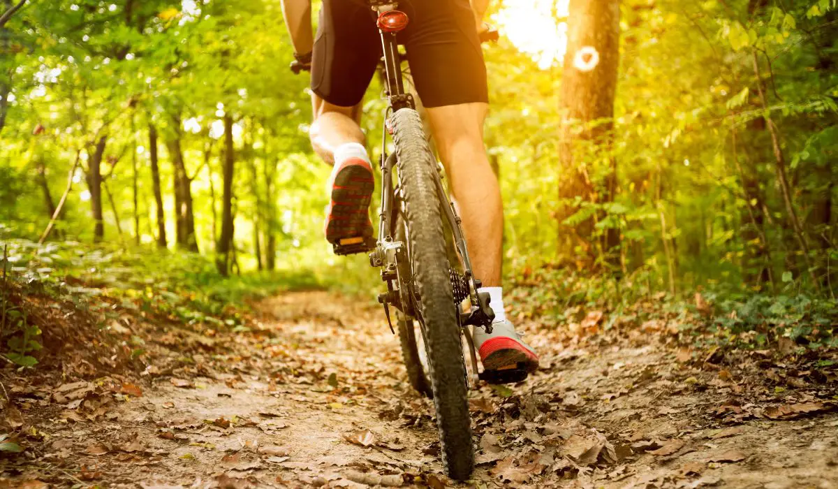 A back tire view of someone riding a mountain bike on a wooded trail with sun coming through the trees. 