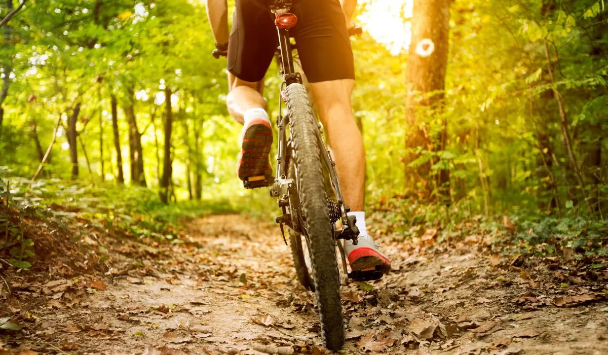 A back tire view of a mountain bike being ridden in the woods.