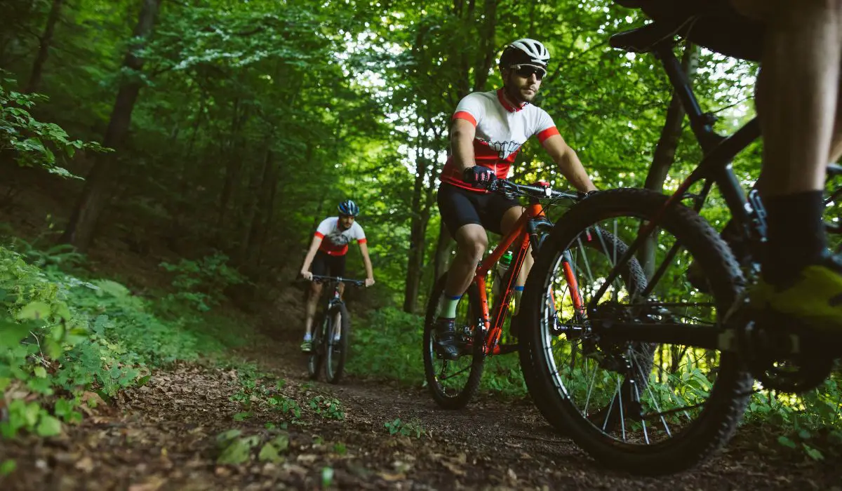 A group of people riding mountain bikes in the woods.