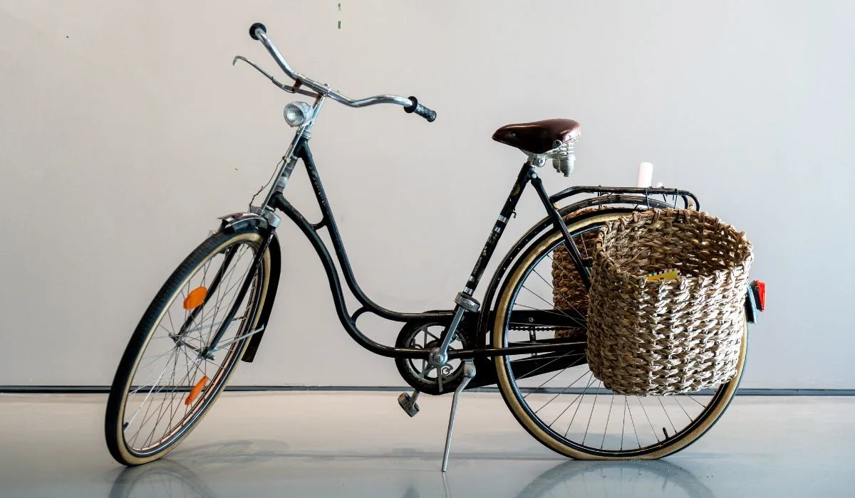 A bike with a basket hanging from each side of the back rack.