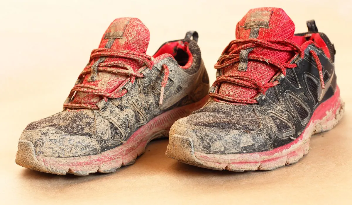 Muddy shoes on a neutral surface. 