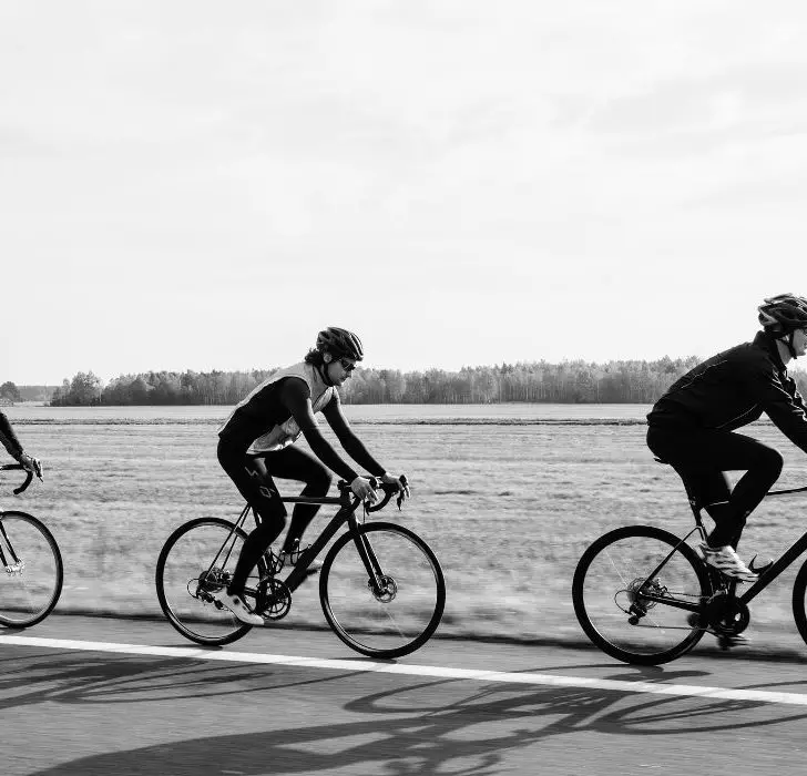 Giant vs Trek vs Schwinn Full Bike Comparison Cycle About Town