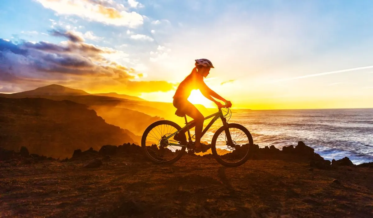 A person on rough terrain on a mountain with the ocean and a golden sunset in the background. 