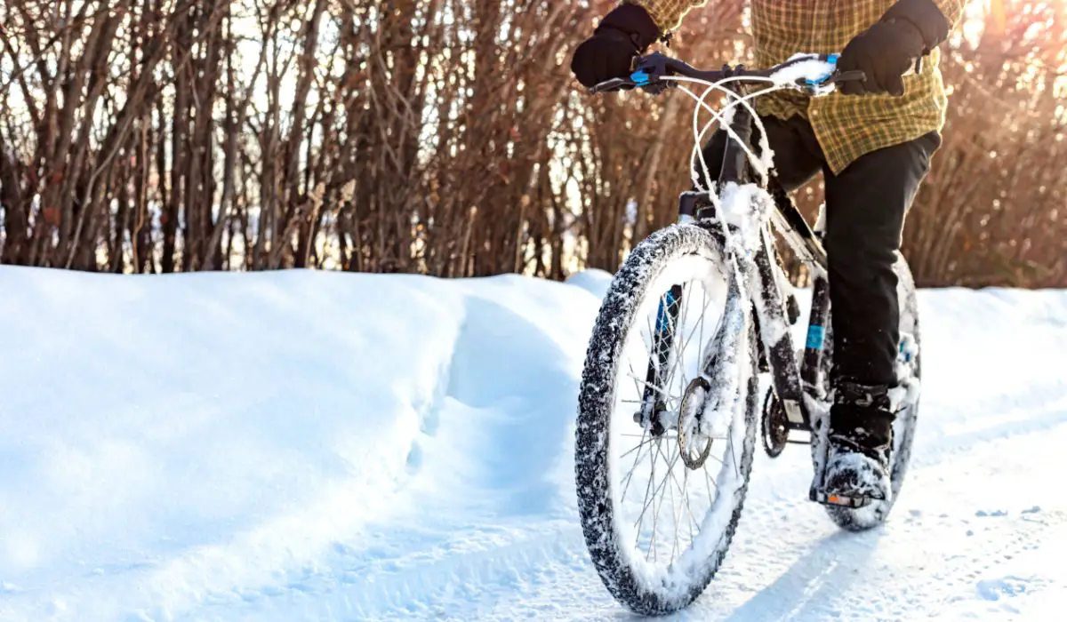 A person in a plaid checkered shirt riding a bike in the snow. 
